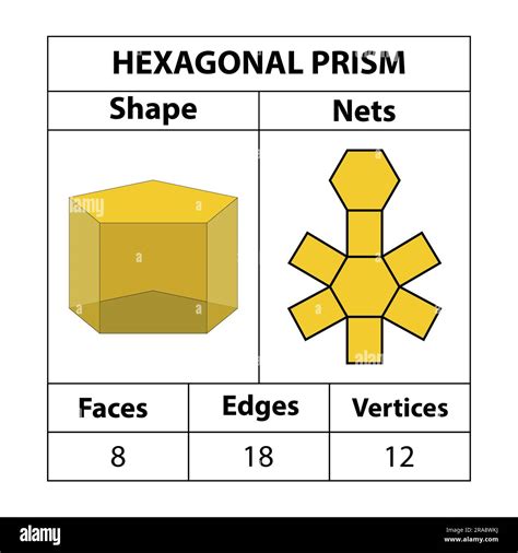 faces on a hexagonal prism|hexagonal prism nets.